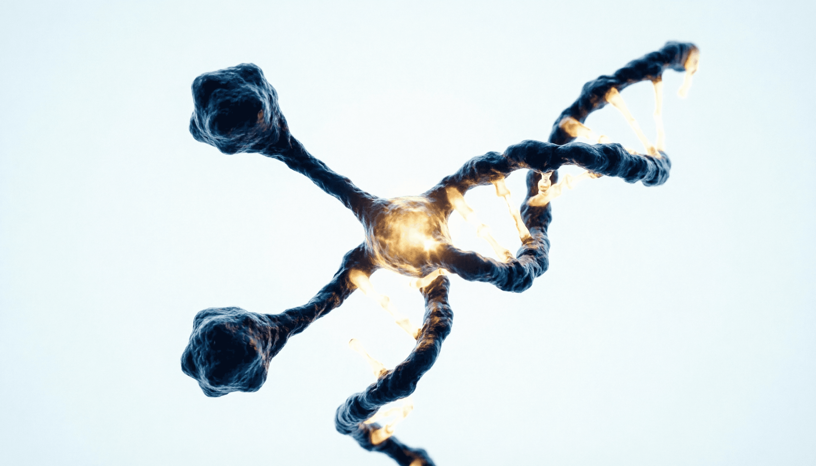 Tirzepatide: The Dual Incretin Peptide Redefining Metabolic Performance