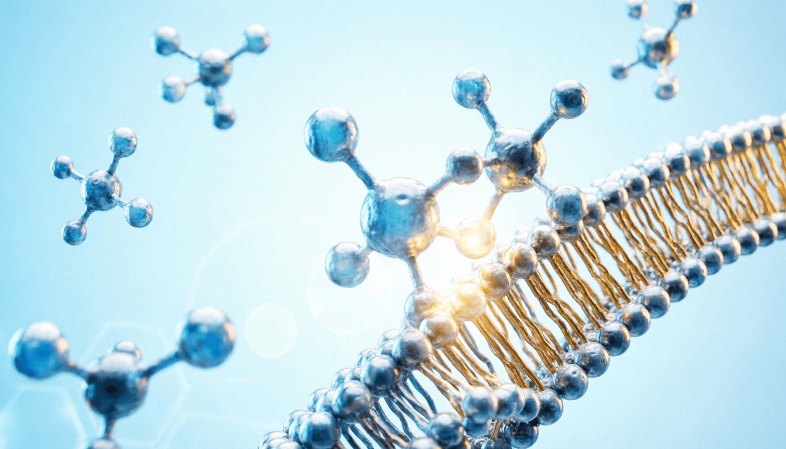 AOD-9604: The Smart Peptide for Fat Metabolism, Definition, and a Leaner Appearance