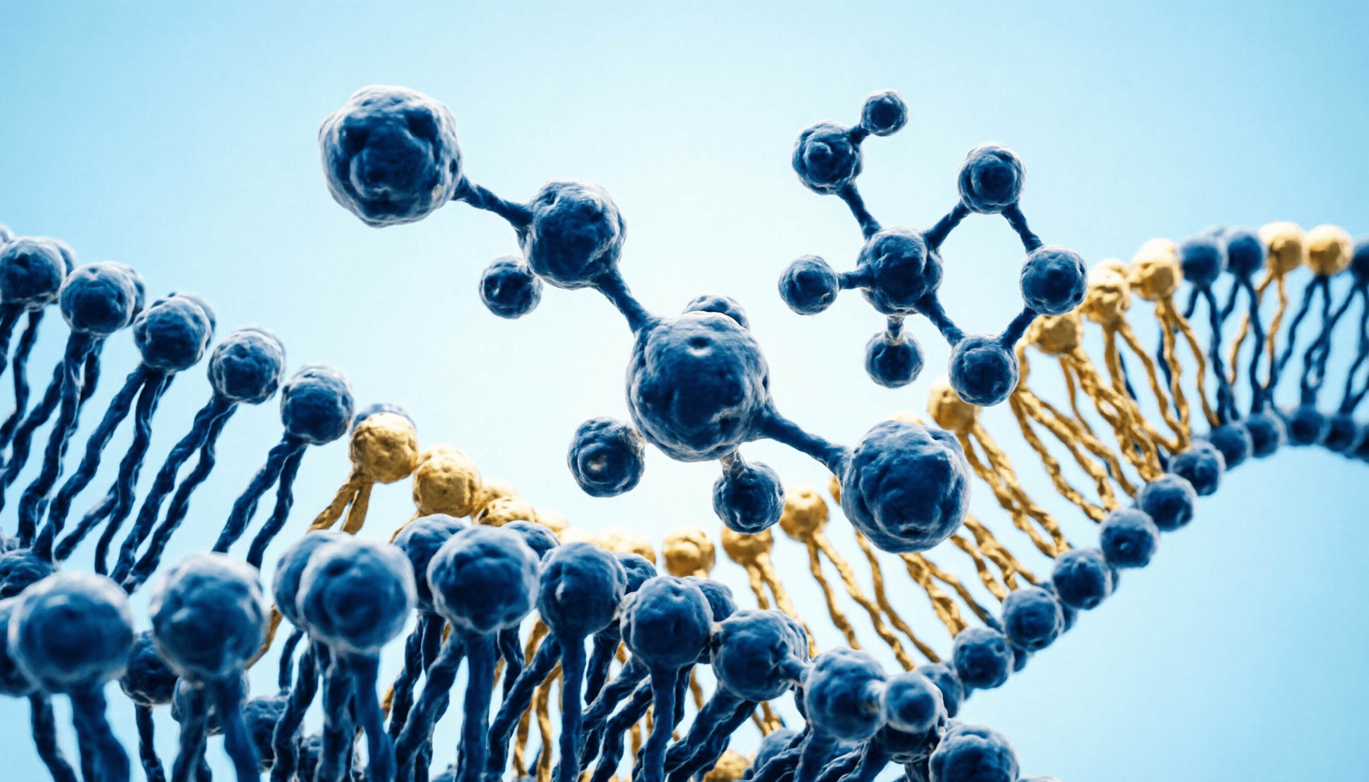AOD-9604: The Smart Peptide for Fat Metabolism During Stress-Heavy Periods